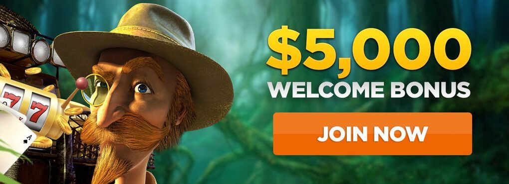 Wild Casino
