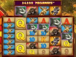 Mega Moolah Megaways Slots